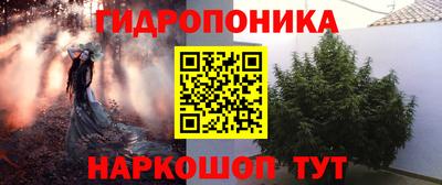 дмт Пенза