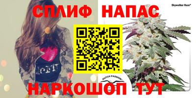 дмт Пенза