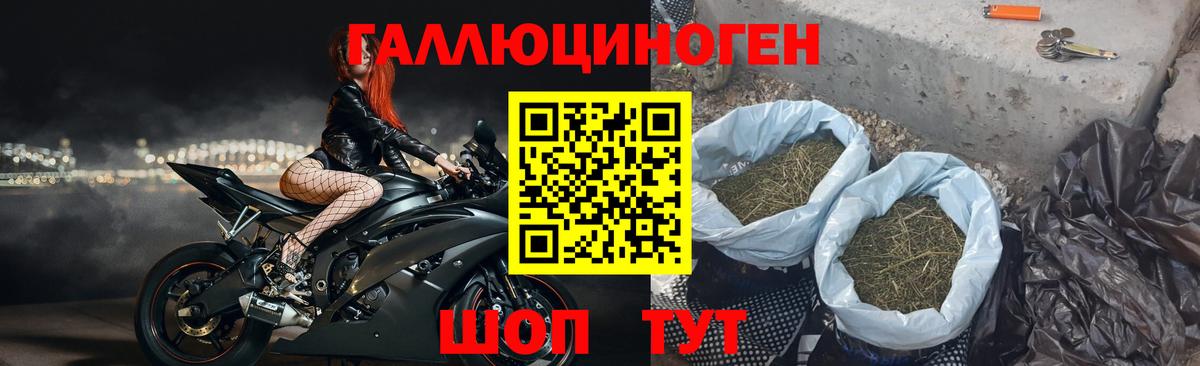 Псилоцибиновые грибы Psilocybine cubensis  Вход с VPN  Соль-Илецк 